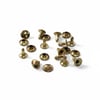 Perçin, Rivet, Toruk Tek Taraflı 33,5 No Light Gold,  100 Adet