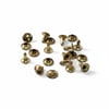 Perçin, Rivet, Toruk Tek Taraflı 33,5 No Light Gold,  100 Adet