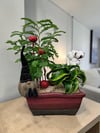 Marmaris Zen Bahçesi Aranjmanı | Bonsai ve Dekoratif Bitki Tasarımı