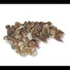 Deniz Kabuğu Karışık Minik 100 gr