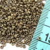 Miyuki Boncuk Round 11-00 2 mm No: 56