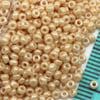 Miyuki Boncuk Round 11-00 2 mm No: 72