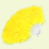 Tüylü Yelpaze