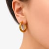 Gold Çelik Halka Küpe / 2.5 cm Kalın 0.3 mm / Mikrofiber Takı Bezi Hediyeli