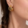 Kıvrımlı Halka Çelik Gold Küpe