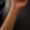 Paslanmaz Çelik Zincir Şahmeran-Gold
