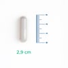 Velavit V-Firstect with Colostrum Takviye Edici Gıda 30 Kapsül