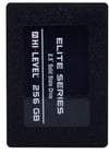 256GB HI-LEVEL HLV-SSD30ELT/256G 2,5