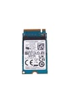 256gb 22x42 M.2 Nvme Ssd