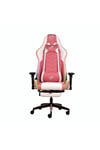 Gc3001pw Masajlı,rgb,4d Kolçaklı,ayak Destekli Oyuncu Koltuğu, Pembe- Beyaz