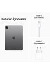iPad Pro 512 GB 11