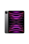 iPad Pro 512 GB 11
