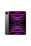 iPad Pro 512 GB 11