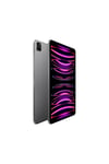 iPad Pro 512 GB 11