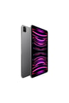 iPad Pro 512 GB 11
