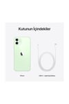 iPhone 12 256 GB Yeşil Cep Telefonu Aksesuarsız Kutu (Apple Türkiye Garantili)