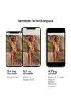 iPhone 12 256 GB Yeşil Cep Telefonu Aksesuarsız Kutu (Apple Türkiye Garantili)