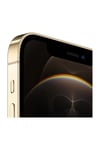 iPhone 12 Pro Max 512GB Altın Cep Telefonu (Apple Türkiye Garantili)