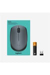 M170 Kablosuz Mouse Siyah