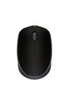 M171 USB Alıcılı Kablosuz Kompakt Mouse, Siyah 910-004424