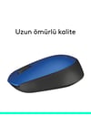 M171 USB Alıcılı Kablosuz Kompakt Mouse, Mavi 910-004640