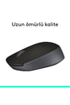M171 USB Alıcılı Kablosuz Kompakt Mouse, Siyah 910-004424
