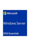 Rok Mıcrosoft Ws Essentıal 2016 2s W2k16esn 25 User