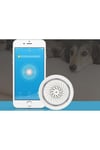 Swapp Sl-eg03 Akıllı Ev Güvenliği Isı Ve Nem Göstergeli Kablosuz Siren Wifi Tuya Destekli