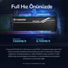Transcend TS1TMTE250H 1TB M.2 2280 Gen4x4 NVMe Metal Soğutuculu SSD