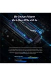 TS2TMTE250H 2TB M.2 2280 Gen4x4 NVMe Metal Soğutuculu SSD