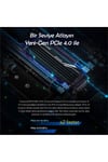 TS4TMTE250H 4TB M.2 2280 Gen4x4 NVMe Metal Soğutuculu SSD