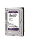 WD PURPLE, WD10PURZ, 3.5