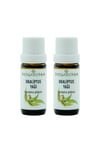 Yogaroma Ferahlatıcı Aromaterapi 10mL Saf ve Doğal Okaliptus Uçucu Yağ