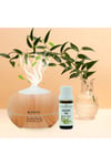 Yogaroma Ferahlatıcı Aromaterapi 10mL Saf ve Doğal Okaliptus Uçucu Yağ