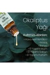 Yogaroma Ferahlatıcı Aromaterapi 10mL Saf ve Doğal Okaliptus Uçucu Yağ