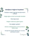Yogaroma Ferahlatıcı Aromaterapi 10mL Saf ve Doğal Okaliptus Uçucu Yağ