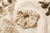 Pure Muse: 5'li Organik Müslin Scrunchie Seti | Per Capelli® - Mavi