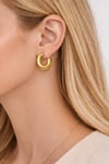 Muben Bold Loop Çelik 14k k Kadın Küpe