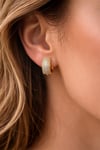Luxe Halka Küpe 316L Çelik 14KK Zirkon Taşlı Kadın Küpe