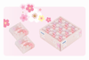 GIPTA SİLGİ TRANSPARENT FLOWER 36 LI K234200