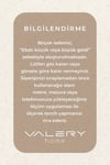 Bianca Eco Dijital Baskı Makinada Yıkanabilir Kaymaz Taban Dekoratif Halı Gri 21283