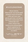 Vl Comfort Peluş Halı Bej Saçaksız