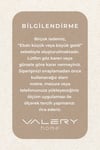Vl Yuvarlak Comfort Düz Saçaklı Peluş Antrasit Yolluk Halı