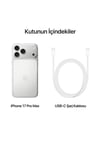 iPhone 17 Pro Max 256 GB Silver