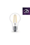 7W E27 Filament LED Ampul - Dim Edilebilir – DF60