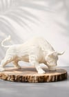 Dornex Beyaz Premium PLA Filament