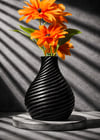 Dornex Siyah Premium PLA Filament