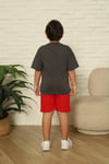 Cg Kids Örümcek Adam Erkek Çocuk Tshirt&Şort Erkek Çocuk Alt Üst Takım