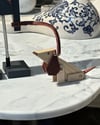 Köpek Gezdiren Robot
