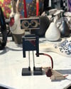 Köpek Gezdiren Robot